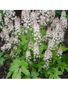 Tiarelle "Pink bouquet"