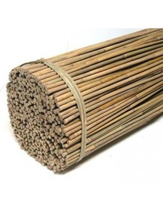 Tuteurs en bambou *10