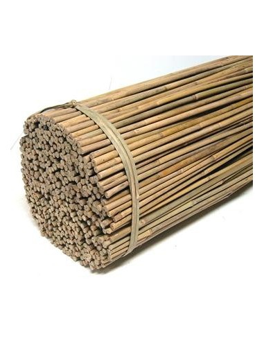10 Tuteurs en bambou taille 105cm 10 Tuteurs en bambou taille 105cm