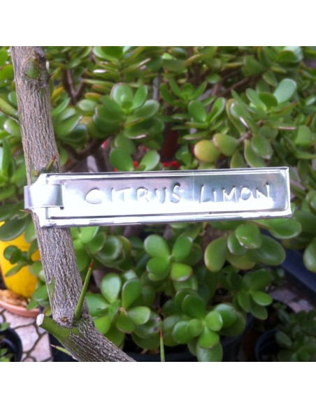 Etiquettes horticoles alu à enrouler *50