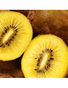 Kiwi jaune femelle - Actinidia Deliciosa Golden Kiwi 2