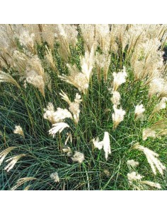 Eulalie Kleine Fontaine 2