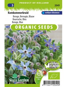 Semences bio Bourrache officinale