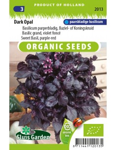 Semences bio Basilic dark opal