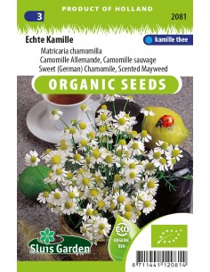 Semences bio Camomille Allemande