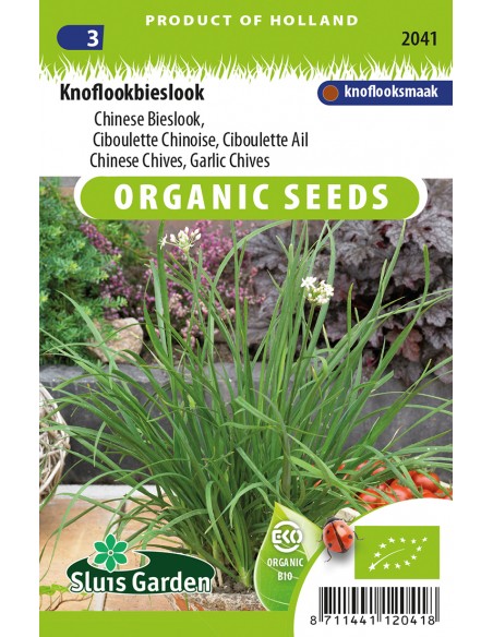 Semences bio Ciboule de Chine