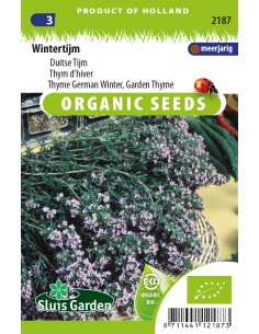 Semences bio Thym d'hiver