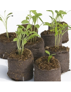 Pastilles de culture 2