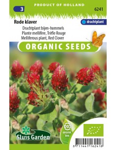 Semences bio - Trèfle rouge
