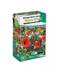 Semences mélange de fleurs sauvages