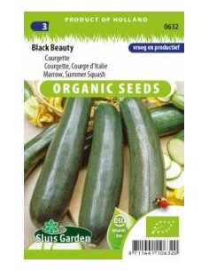 Semences Courgette "Black beauty"