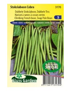 Semences Haricots à ramer Cobra
