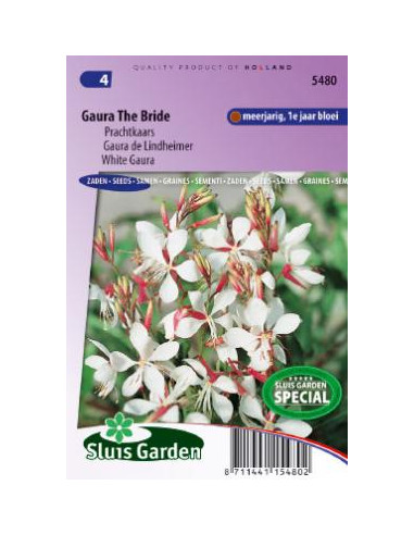 Semences Gaura de Lindheimeri the Bride
