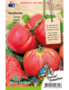 Semences Tomate Brandywine