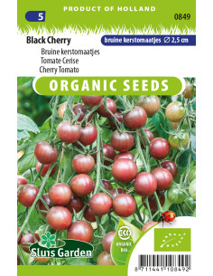 Semences bio Tomate cerise Black Cherry