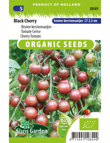 Semences bio Tomate cerise Black Cherry