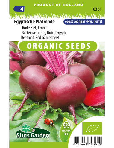 Semences bio Betterave rouge Noire d'Egypte