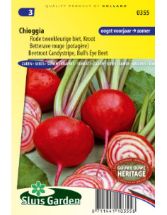 Semences betterave rouge Chioggia