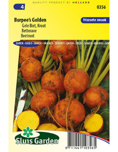 Semences betterave Burpee's golden