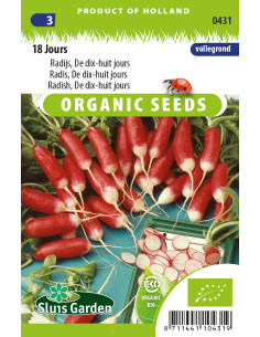 Semences bio radis 18 jours