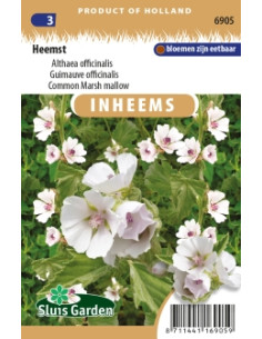 Semences Guimauve officinale - Althaea officinalis