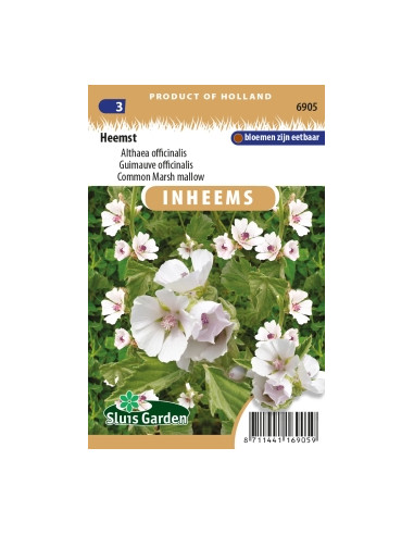 Semences Guimauve officinale - Althaea officinalis