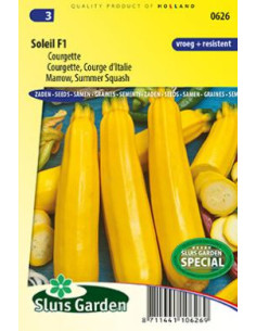 Semences Courgette Soleil F1