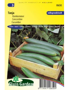 Semences Concombre Tanja