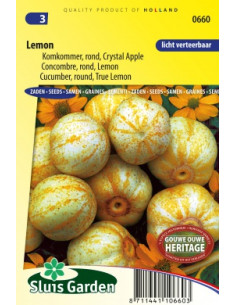 Semences Concombre rond Lemon