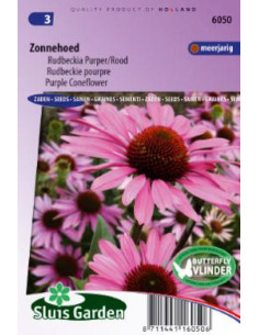 Semences Rudbeckie pourpre - Echinacea purpurea