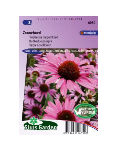 Semences Rudbeckie pourpre - Echinacea purpurea