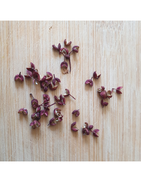 Semences Poivrier du Sichuan - Zanthoxylum piperitum