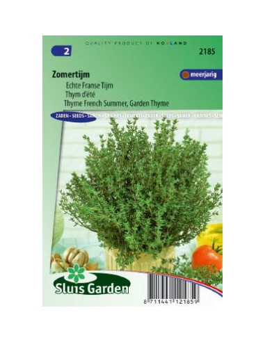 Thym d'été