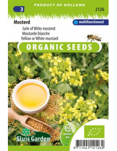 Moutarde blanche