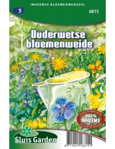 Semences mélange de fleurs des champs