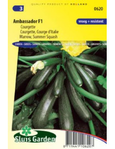 Semences Concombre Ambassador F1