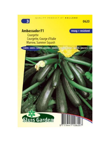 Semences Concombre Ambassador F1