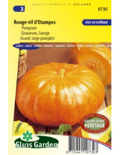 Semences Potiron Rouge Vif d'Etampes