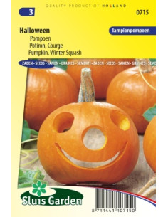 Semences Potiron Halloween