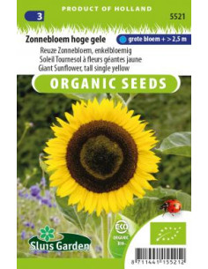 Semences - Tournesol à fleurs géantes jaune