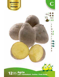 Tubercules de pommes de terre 1kg
