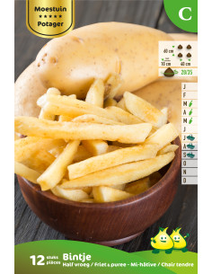 Tubercules de pommes de terre 1kg 2