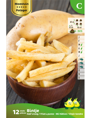 Tubercules de pommes de terre 1kg